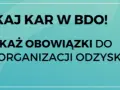 Spółdzielnia w BDO: Obowiązki, zwolnienia i kary - sprawdź!