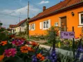 Ile kosztuje mieszkanie na wsi? Sprawdź pełny koszt zakupu i utrzymania